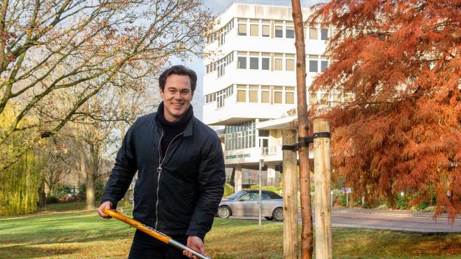 Deputy Leader, Blake Pain, at County Hall planting a maple tree Man stands with spade in front of newly planted tree