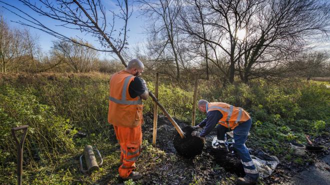 Park employees planting the first tree of the trail at Watermead Park employees planting tree at Watermead