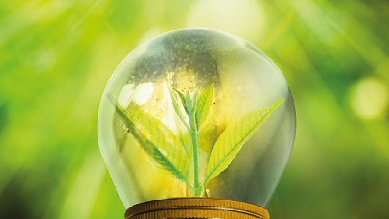 a green lightbulb