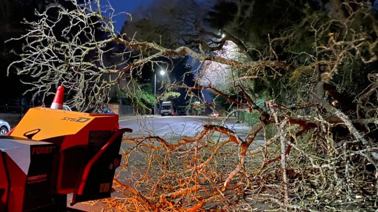 A fallen tree in Glebe Road, Oadby, on Wednesday night 
