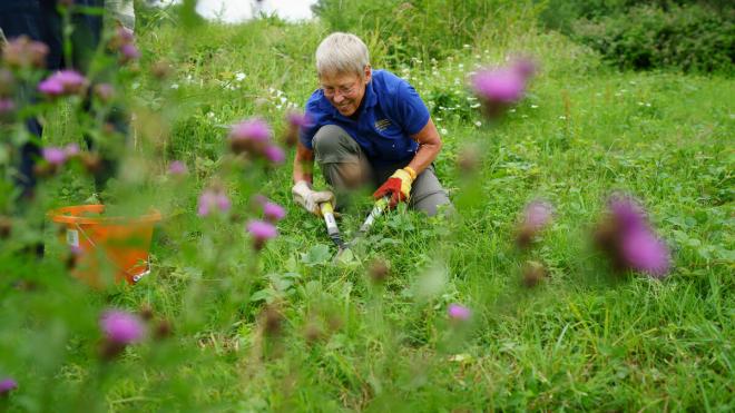Volunteer working on grassland at Watermead Country Park (image credit WWF)
