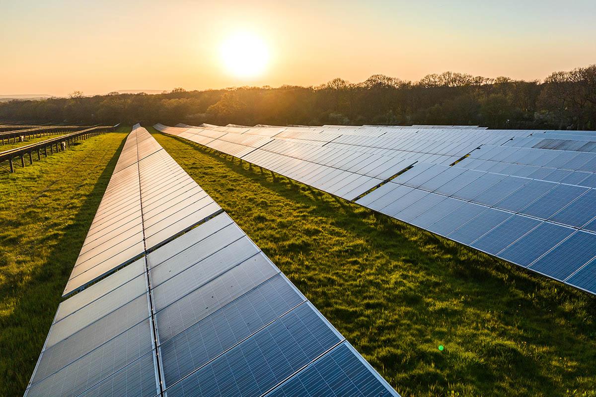 Row of solar panels in a field