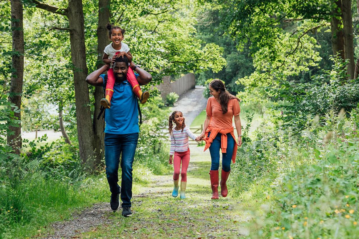 Family walking in the woods