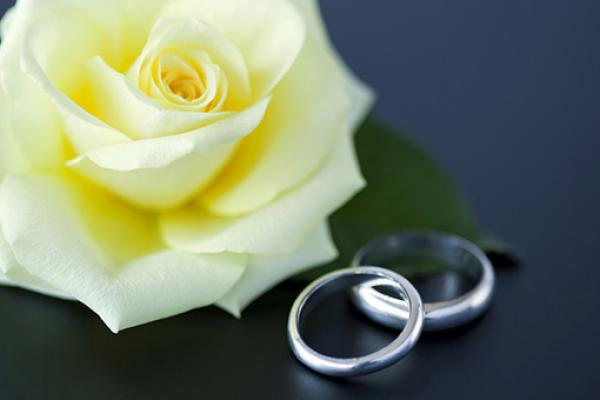 Two wedding rings sat next to a cream rose